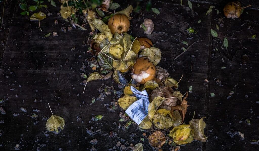 Turning Waste into Products in the U.S. Food Industry