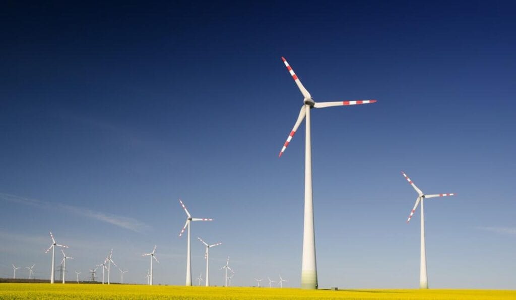 Why the Oldest Organizations Keep Thriving Green and Why It Matters