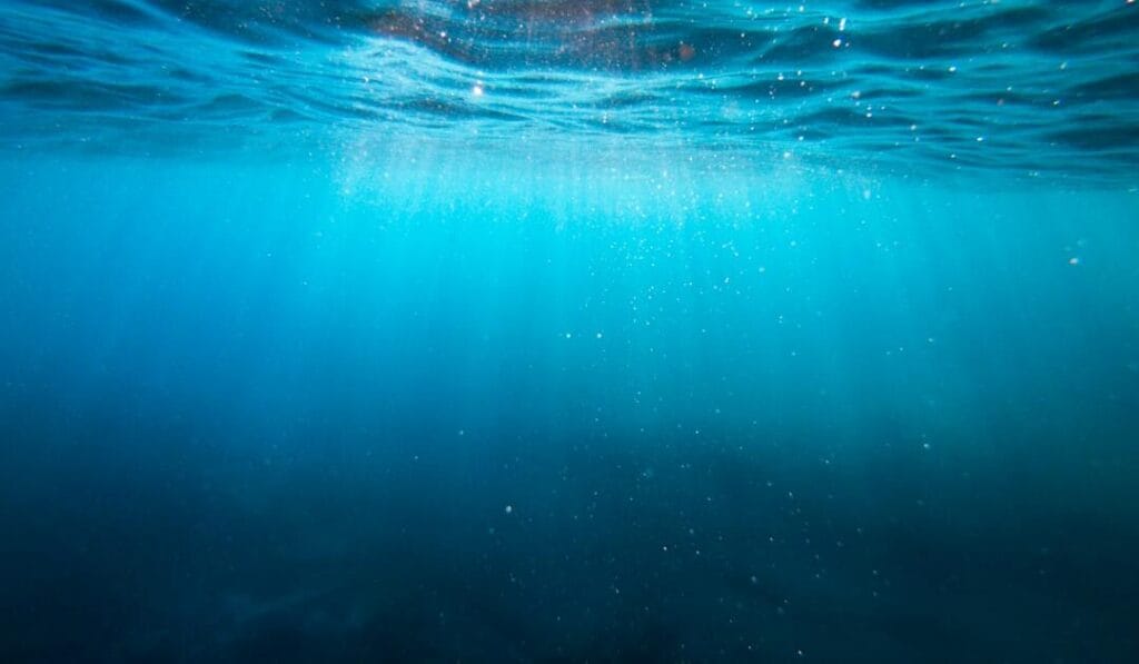Is the UN Ocean Conference Actually Doing Enough to Save Our Seas?