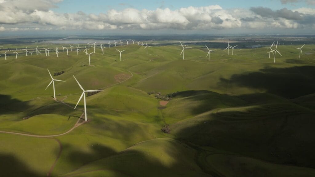 Why the Oldest Organizations Keep Thriving Green and Why It Matters